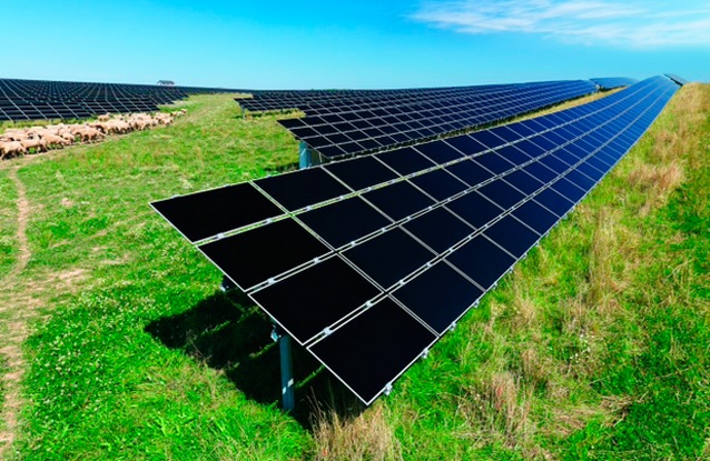 Miles de agricultores y ganaderos que apostaron por la energía solar fotovoltaica preocupados por su inversión