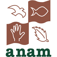 En Panamá se deforestan 23 mil hectáreas por año