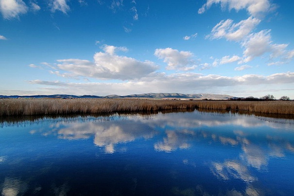 Los acuíferos de Baleares se mantienen a un 49% de su capacidad