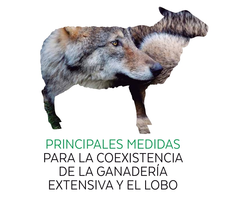Principales medidas para la coexistencia de la ganadería extensiva y el lobo