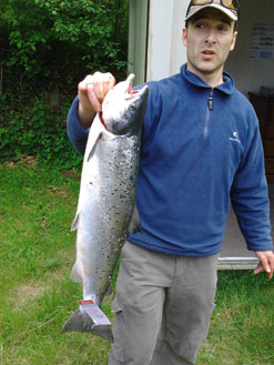 Concluye la temporada de pesca de salmones en Navarra