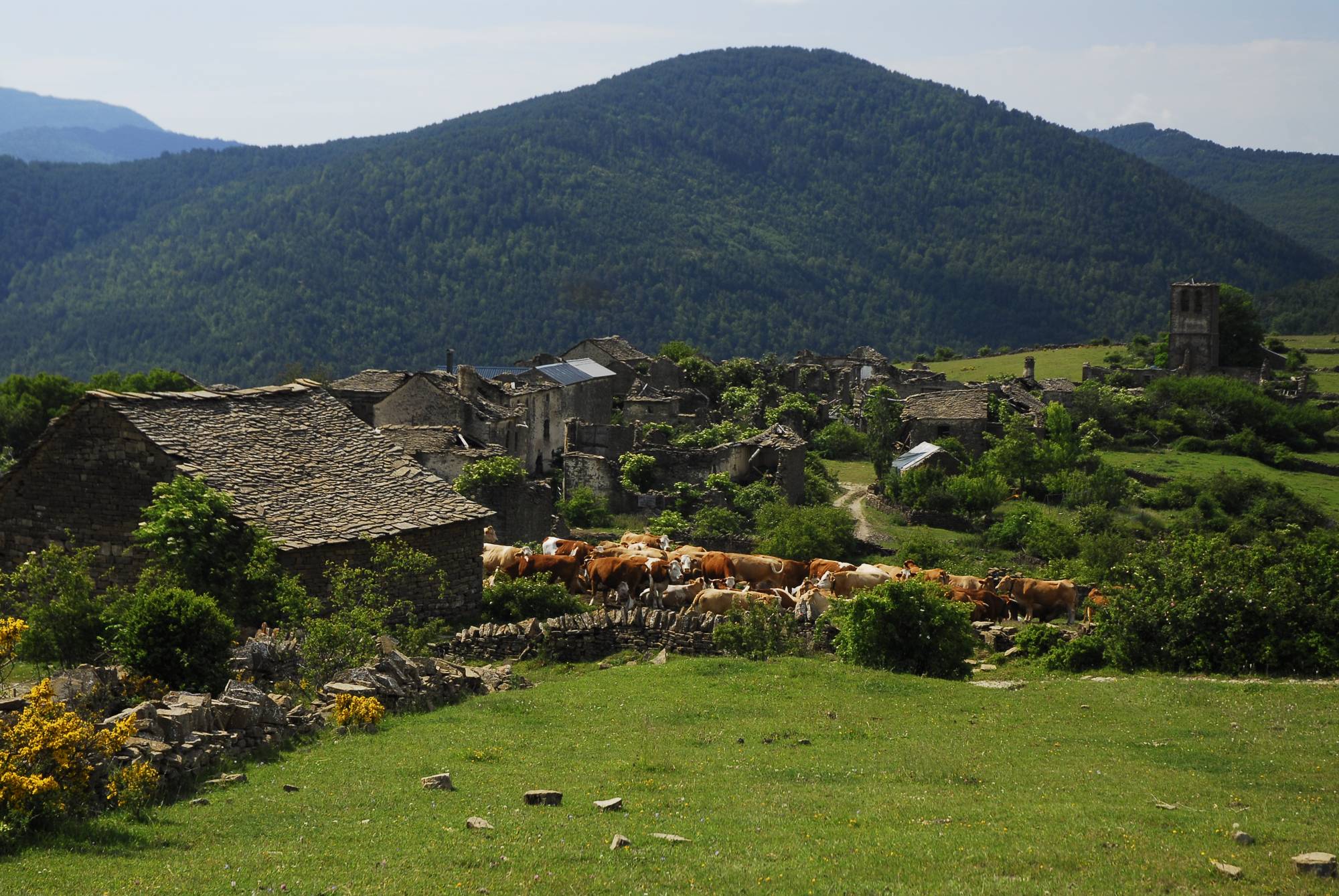 El Departamento de Medio Ambiente patrocina el documental “Sobrepuerto: los caminos del silencio”