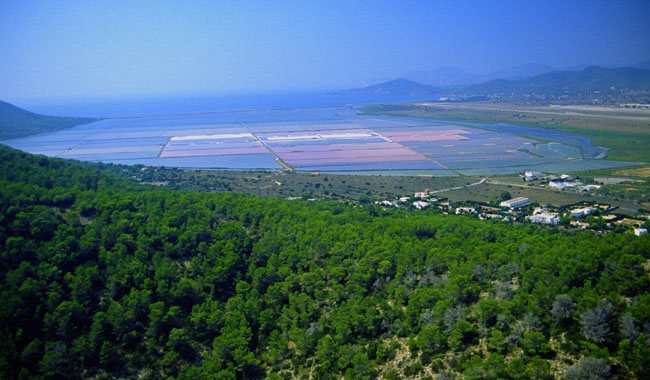 La ‘mala’ gestión del Parque Natural de Ses Salines (Baleares)