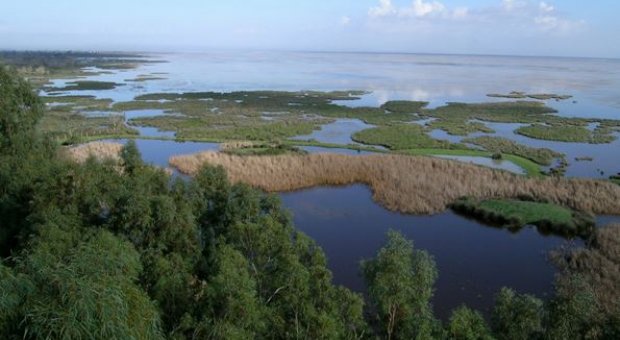 El déficit hídrico de Doñana