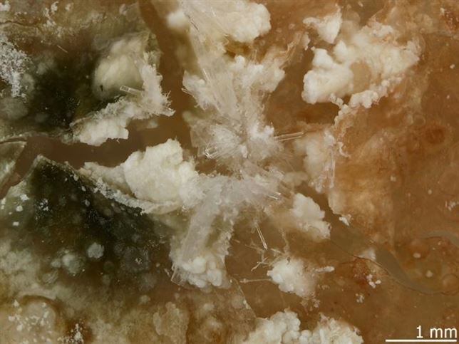 Quedan 1.500 minerales por descubrir