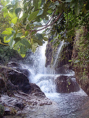 España respaldará diversos proyectos ecológicos en México