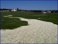 Favorece un clima seco la diversidad acuática
