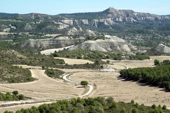 Conoce el patrón común de biodiversidad de las zonas semiáridas mundiales