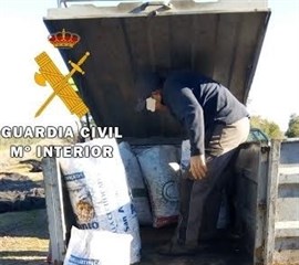 Detenido el jefe de los guardas de una sociedad de caza de Carmona por matar a varios perros