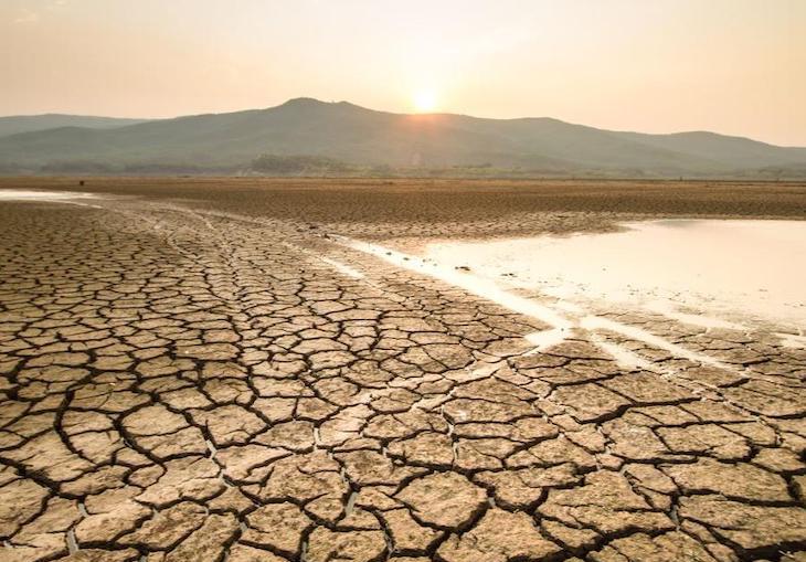 Juntos contra la crisis climática