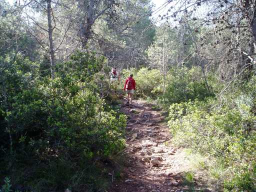En Les Rodanes de Vilamarxant