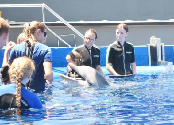 Maltrato de los delfines en Marineland Mallorca (vea el video)