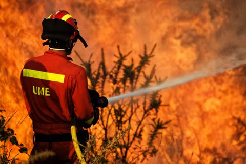 La política forestal y el deterioro climático