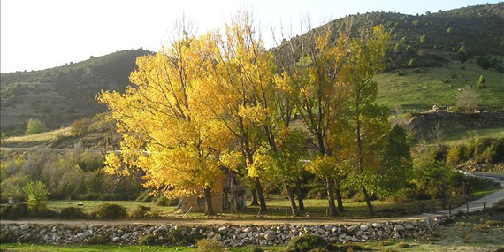 El Parque del Guadarrama precisa más agentes forestales