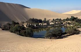 Un oasis para los desiertos