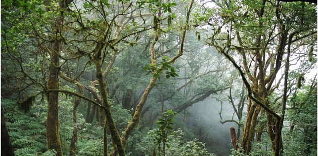 Las Palmas de Gran Canaria