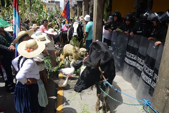 Agendan 10 leyes para proteger la tierra