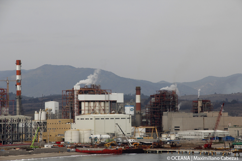 Chile. Oceana llama a ministro bunster a prohibir nuevas termoeléctricas en zonas saturadas