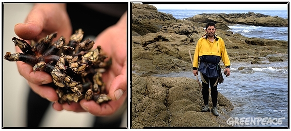 Destrucción a Nuestra Costa