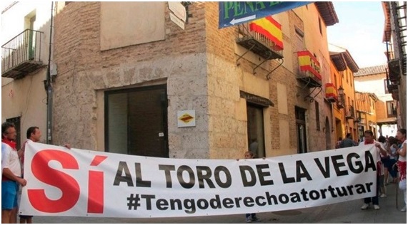 Toro de la Vega: derecho a torturar