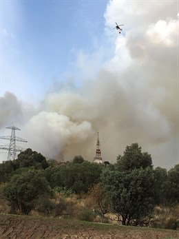 Estabilizado el fuego en la sierra de Collserola tras quemar entre cinco y ocho hectáreas