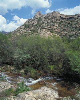 Multas por bañarse en La Pedriza entre los 1.000 y 3.000 euros
