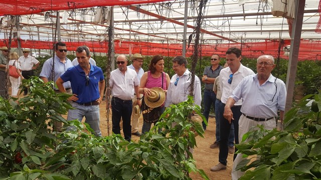 El Campo de Cartagena incrementa la superficie de producción ecológica más de un 30% en los últimos cinco años
