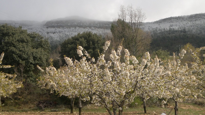 El Ministerio de Agricultura