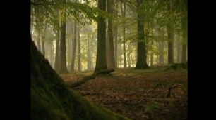 Directores de cine de naturaleza piden mayor visibilidad en la programación televisiva