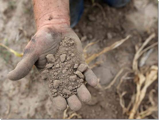 Estrés climático mundial sin precedentes con récord de temperaturas y muertes los últimos diez años