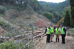 Málaga generar 200.000 jornales con trabajos relacionados con los recursos forestales