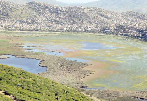 Bolivia. Elaboran abono de macrófitas