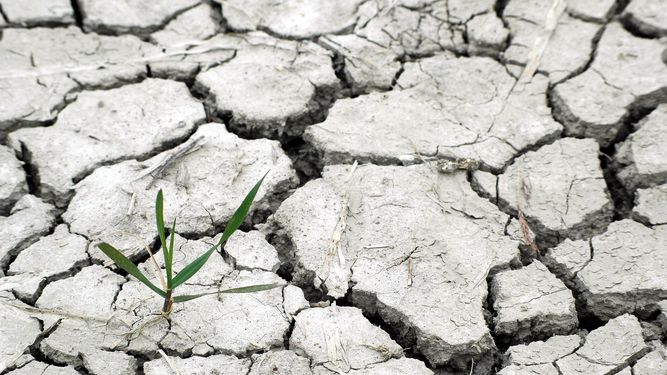 Oxfam Internacional denuncia el "escaso compromiso" de España contra el cambio climático