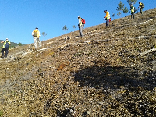‘El árbol es vida’ celebra el día forestal mundial con la primera plantación