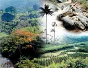 Biodiversidad y gestión ambiental en foro venezolano sobre ecología