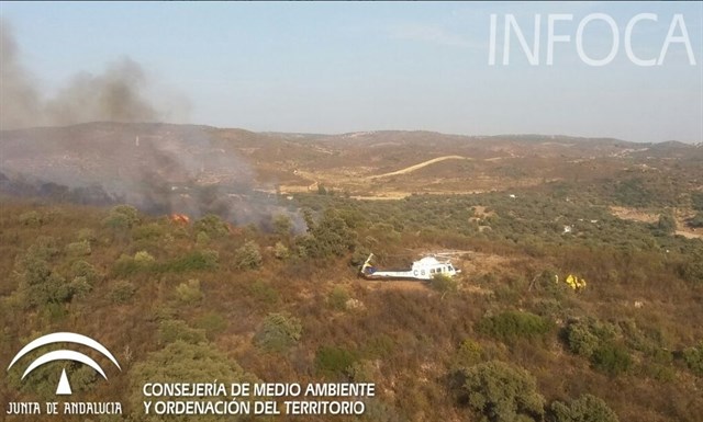 Declarado un incendio forestal en El Ronquillo (Sevilla)