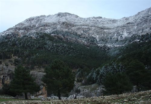 Imputado un cazador furtivo sorprendido en el Parque de Cazorla