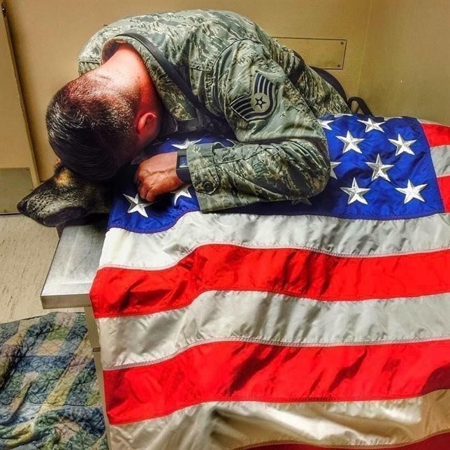 Perro amigo y patriota