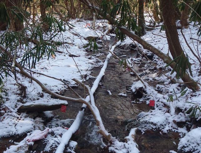La polución por nutrientes daña los cauces de forma notable