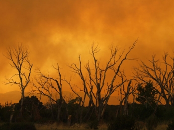 COAG reclama medidas preventivas ante incendios forestales