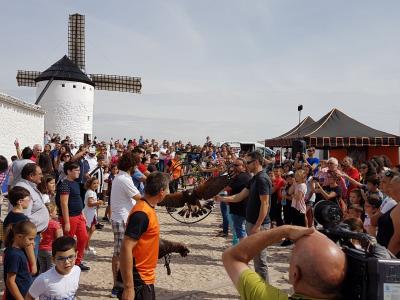 La bipolaridad de Lucas-Torres con las aves