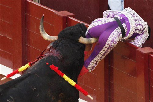 Los toros y los resultados del 20-D