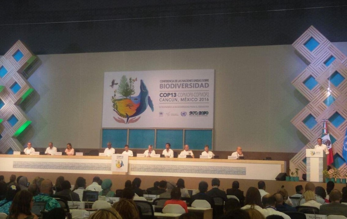 España se adhiere a la “Coalición para la conservación de los polinizadores”