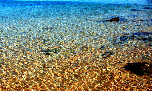 Los océanos se desertizan