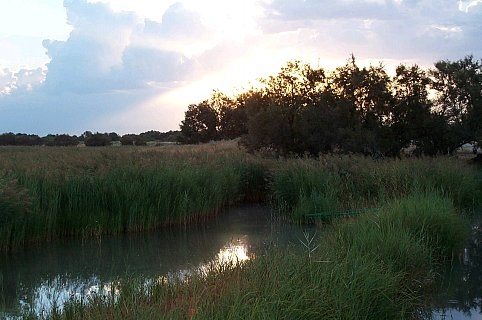 La Junta afirma que hay más de 86 hectáreas encharcadas del Parque Nacional de Las Tablas de Daimiel