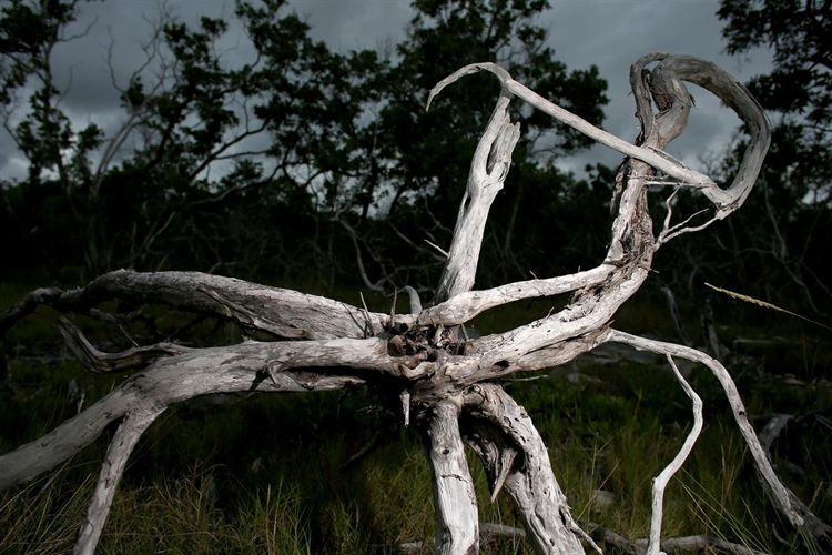 Millonarias pérdidas en Centroamérica por el cambio climático