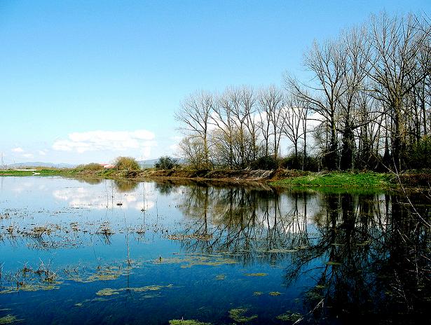 El Centro de Estudios Ambientales de Vitoria-Gasteiz se suma al Día Internacional de los Humedales con un amplio programa