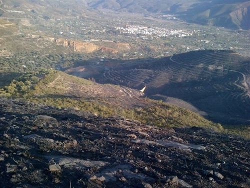 Andalucía presume que tras los incendios forestales de los últimos días hay un pirómano