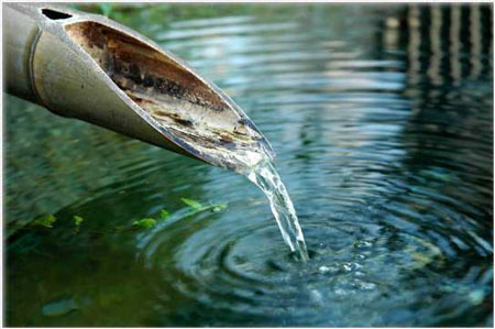 SEO/BirdLife con los planes hidrológicos de cuenca y ofrece herramientas para conseguirlo