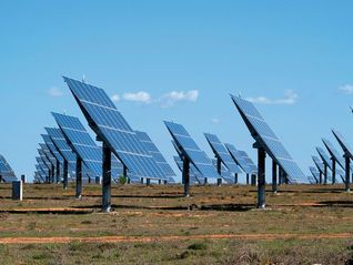 Castilla – La Mancha afirma que no hay "riesgo" de retirada de empresas renovables por la moratoria